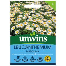 5051618025027 1 Leucanthemum Madonna Seeds.jpg